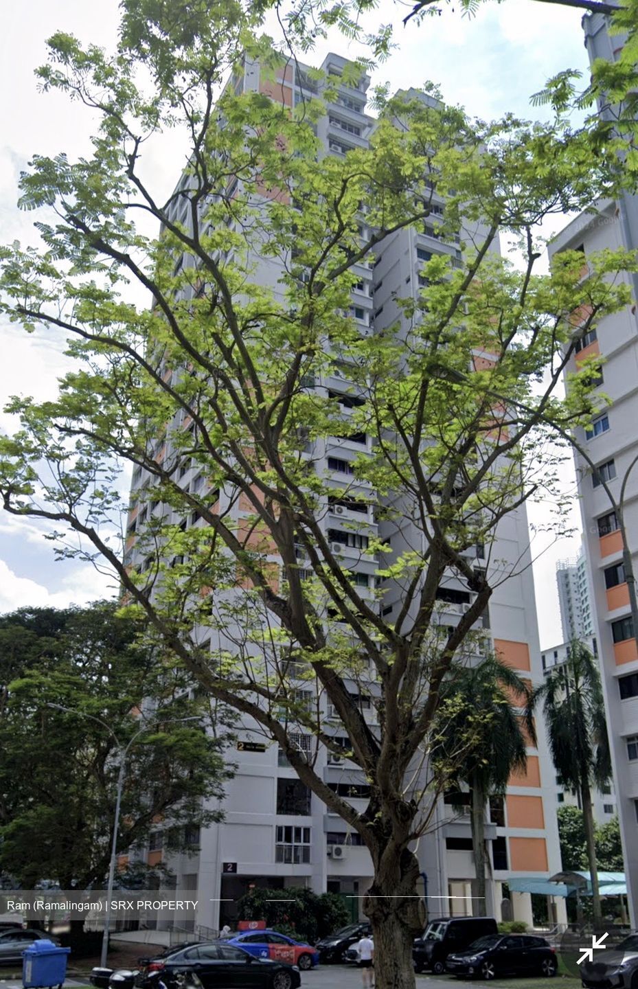 Blk 5 Delta Avenue (Bukit Merah), HDB 4 Rooms #495151501